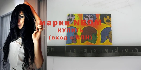 apvp Алзамай