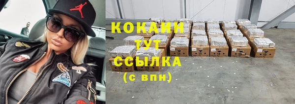 индика Приозерск